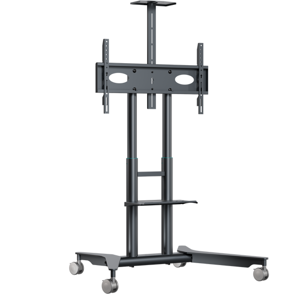 Supporto TV mobile per 32"–75", max 60 kg, grafite TS1571