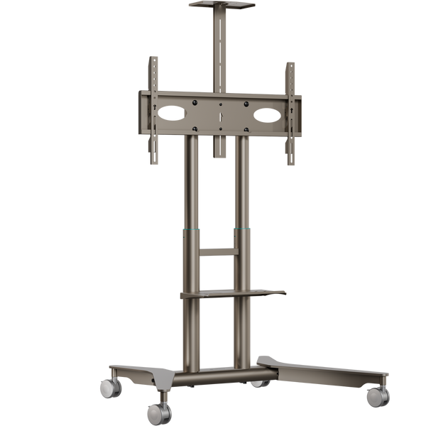 Supporto TV mobile per 32"–75", max 60 kg, champagne TS1571
